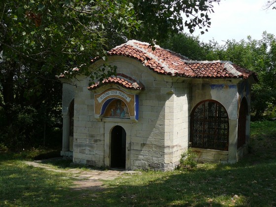 P1060783-560x420